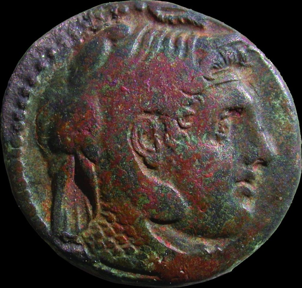 copertina egittologi immagine 2